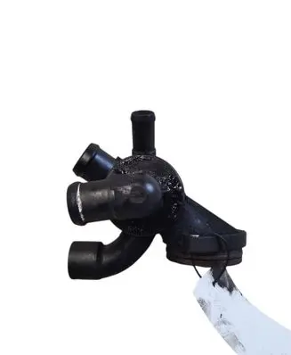 Thermostat/thermostat housing