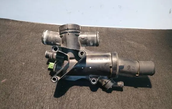 Thermostat/thermostat housing