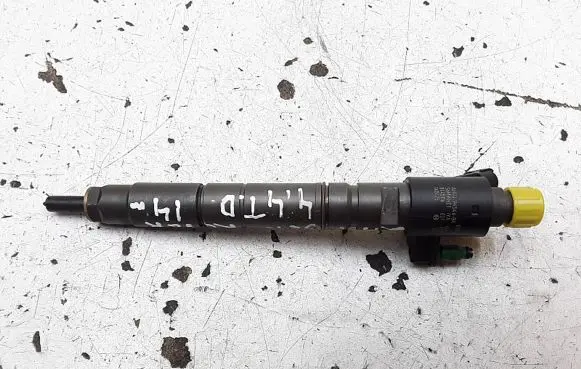 Land Rover Range Rover Evoque L538 Fuel injector