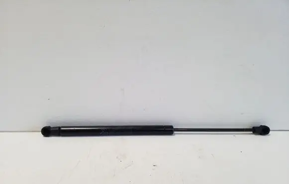 Tailgate/trunk strut/damper
