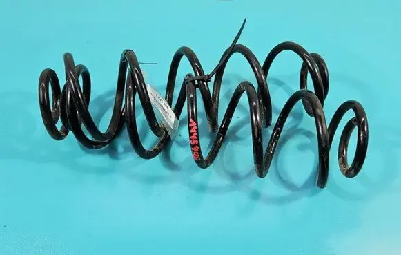 Rear coil spring