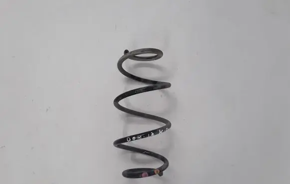 Dacia Dokker Rear coil spring 550204946R