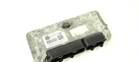 Engine control unit/module ECU