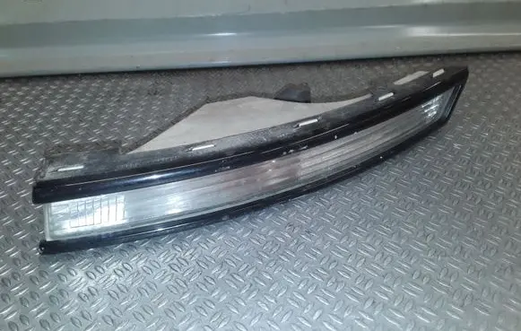 Volkswagen PASSAT B6 Front indicator light 