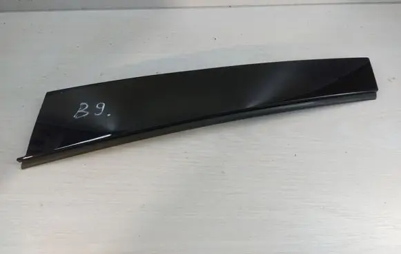 Other rear door trim element