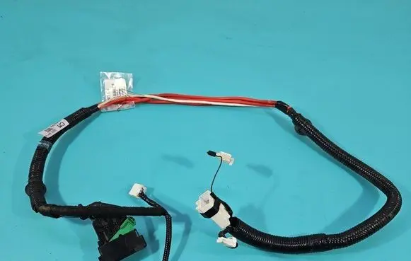 Other wiring loom