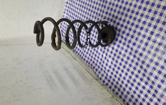 Volkswagen New Beetle Rear coil spring