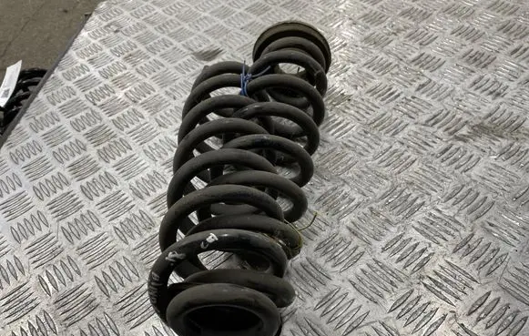 Opel Insignia B Rear coil spring