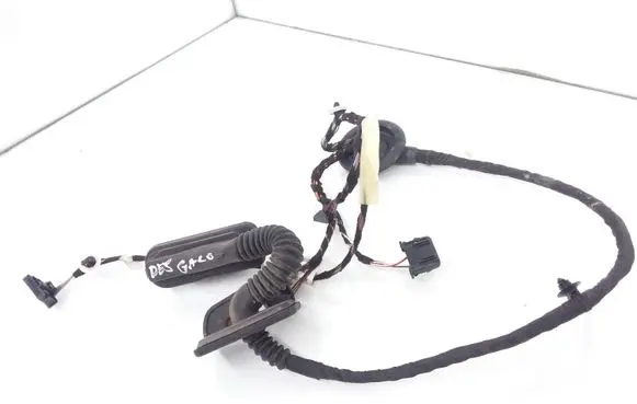 Rear door wiring loom