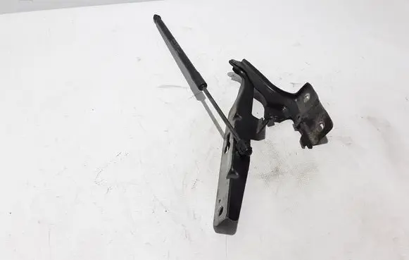 Volvo XC60 Engine bonnet/hood hinges 31424537