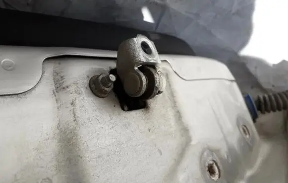 Rear door check strap stopper
