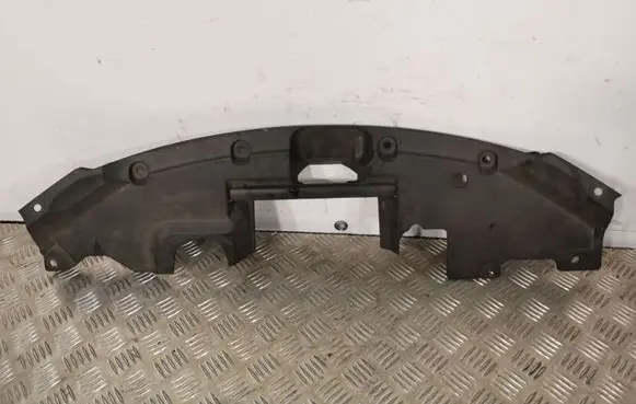 Engine bonnet/hood lock trim molding