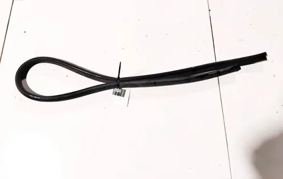 Hyundai Santa Fe Rubber seal front coupe door 