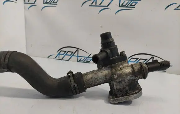 Ford Galaxy Engine coolant pipe/hose 038121133J
