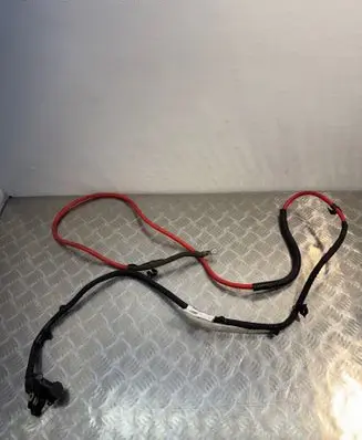 Other wiring loom