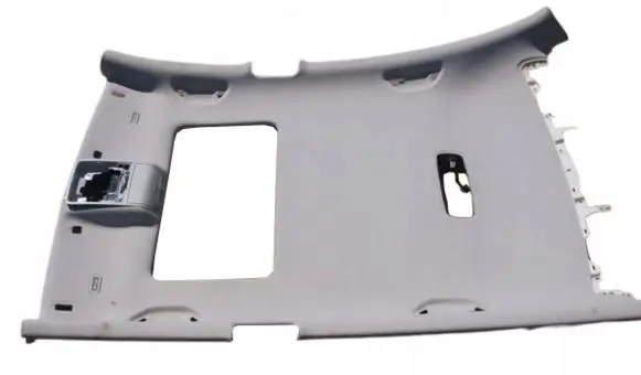 Volkswagen PASSAT B7 Headlining 3AE867501G