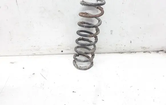 Renault Scenic RX Rear coil spring