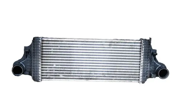 Mercedes-Benz R W251 Intercooler radiator A1645001900