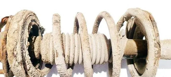 Rear coil spring