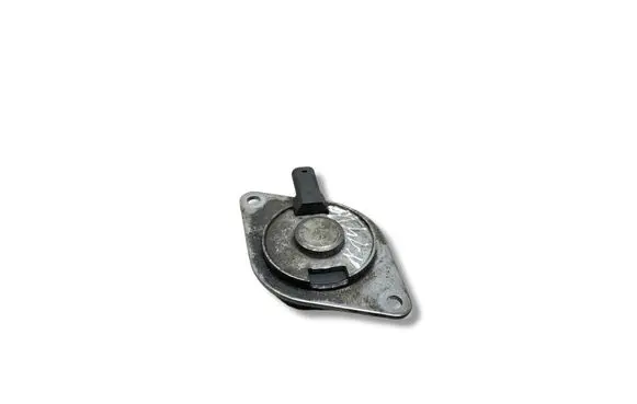Land Rover Range Rover Sport L320 Valve oil control 55562223 153285