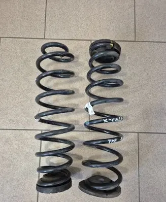 Rear coil spring
