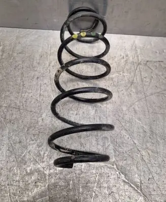 Rear coil spring