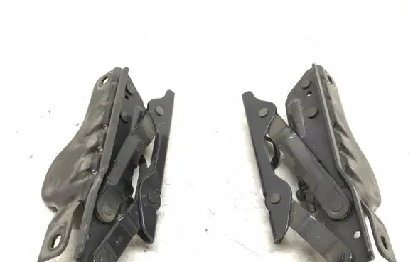 Tesla Model S Engine bonnet/hood hinges 1029285
