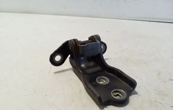 Front door lower hinge