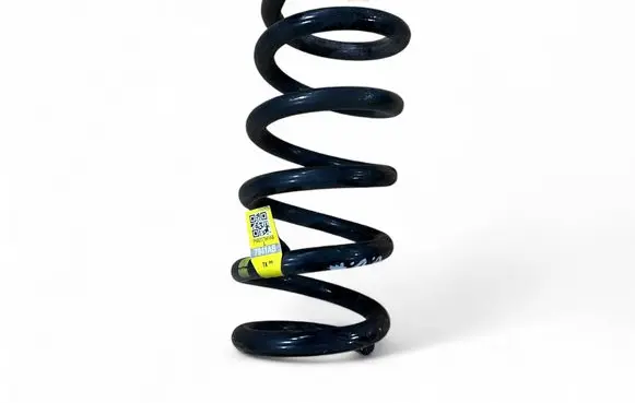 Rear coil spring