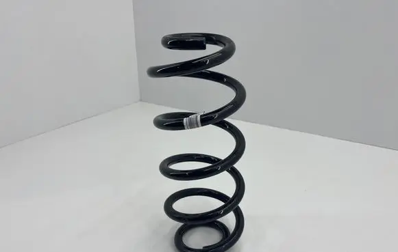 Rear coil spring