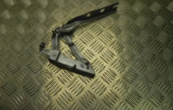 Volkswagen Golf VI Tailgate/trunk/boot hinge 5K0823301B T1877