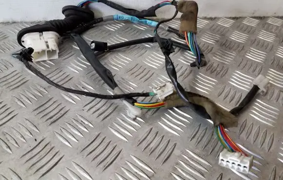 Rear door wiring loom