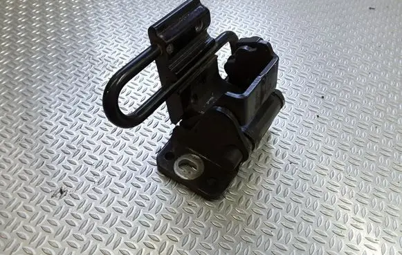 Audi A6 Allroad C5 Rear door lower hinge