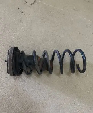 Volvo S60 Rear coil spring 31340158