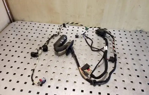 Volkswagen PASSAT CC Rear door wiring loom 3C8971693