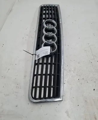 Audi A4 S4 B6 8E 8H Front grill