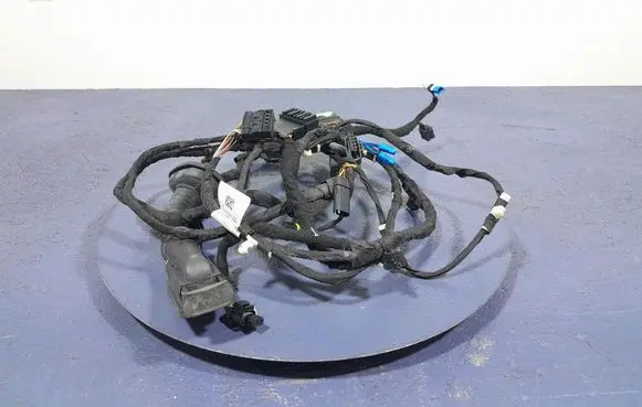 BMW X7 G07 Other wiring loom 8779803