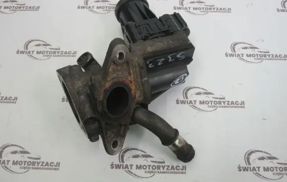 Ford Transit EGR valve 088123065ARB0A