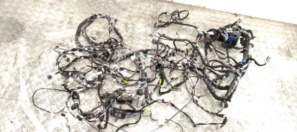 Other wiring loom