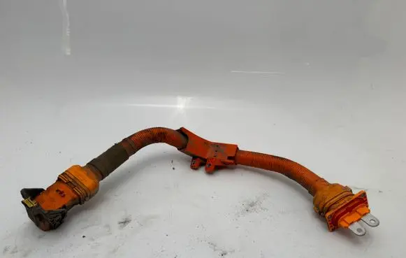 KIA EV6 Other wiring loom 91981G1100