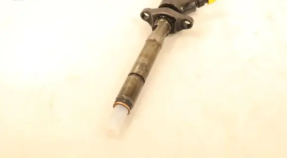 Citroen C4 I Picasso Fuel injector 0445110259