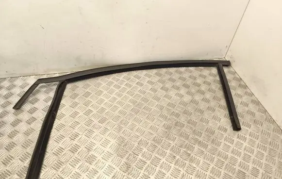 Ford Focus Rubber seal front door (on door) 