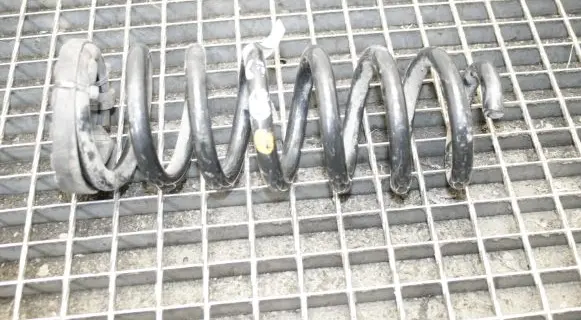 Land Rover Discovery Sport Rear coil spring