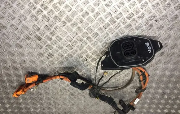 Cupra Born Positive wiring loom 