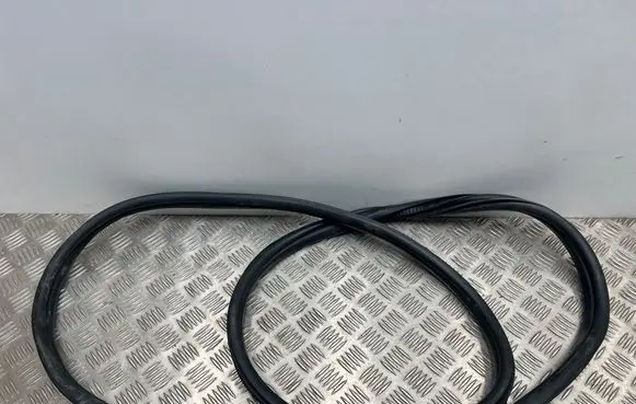 BMW 3 G20 G21 Front door rubber seal 7407373