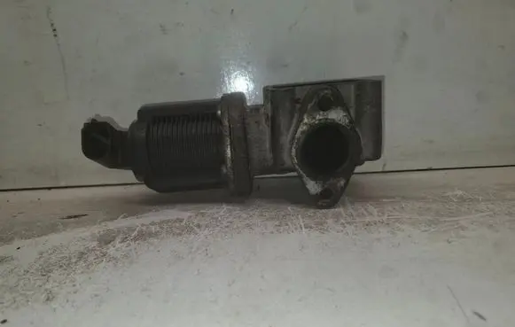 Opel Vectra C EGR valve 50024005 09T166