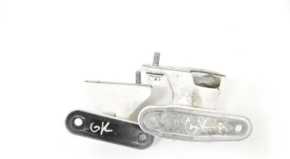 Rear door lower hinge