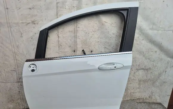 Ford B-MAX Front door