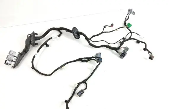 Ford Mustang Mach-E Front door wiring loom LJ8T14631NCH