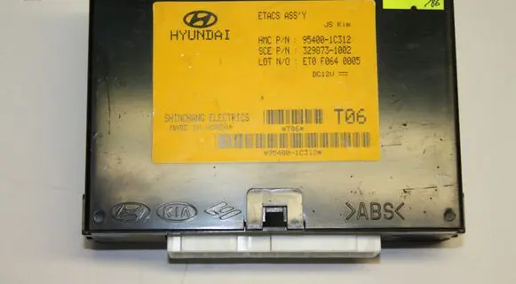 Hyundai Getz Other control units/modules 954001C312